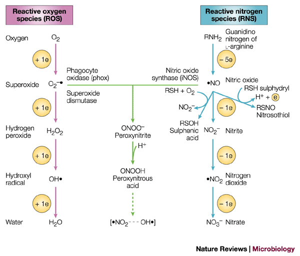 CHEMIA_Tablice i plansze - nrmicro1004-f2.gif