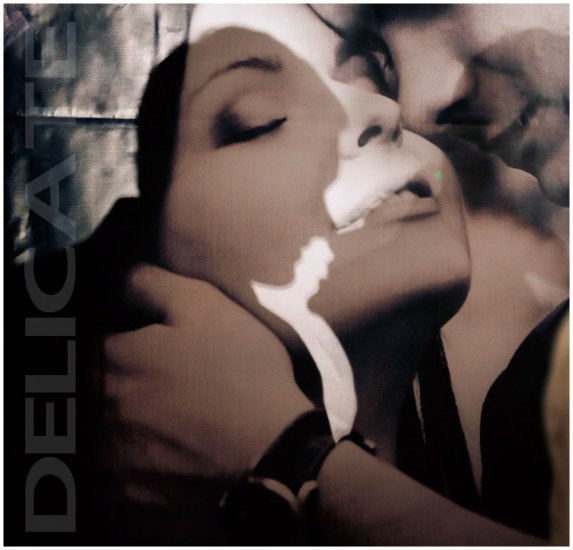 VA - Delicate 2012 - cover.jpg