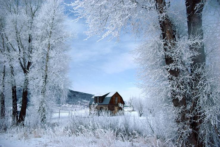 Super tapety 15 - Winter Wonderland, Steamboat Springs, Colorado.jpg