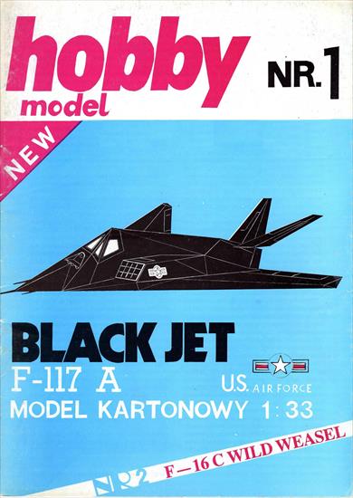 Hobby Model - Lockheed F-117 Black Jet.jpg
