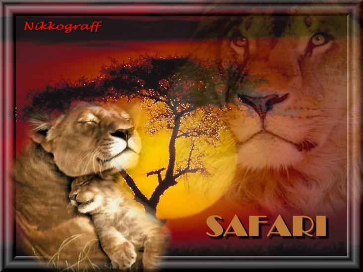 Afryka - safari - 09050112555359688357703 rdd8dq4v.jpg