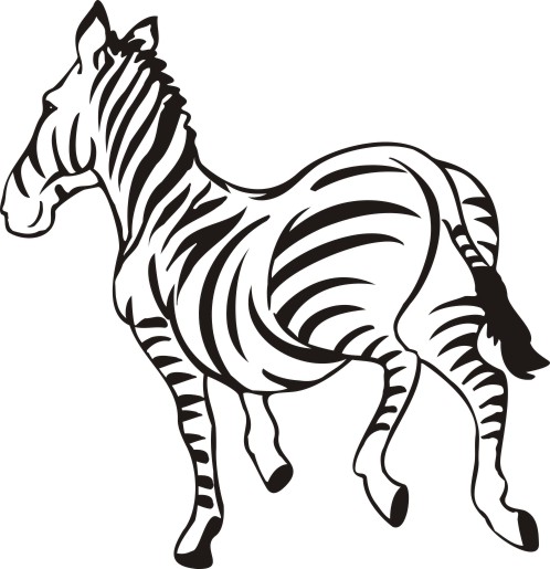 Zwierzęta - zebra.jpg