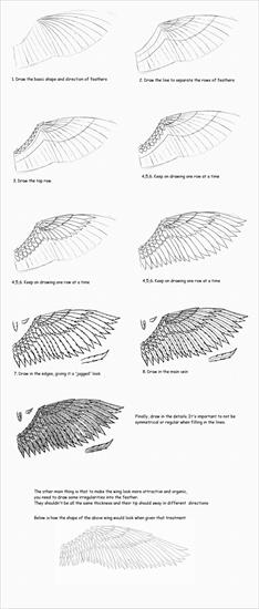 Jak rysować Mange - How_to_draw_wings_by_Serio555.jpg