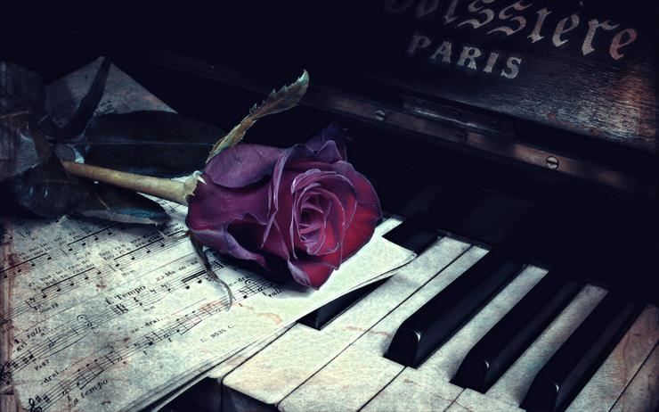 Tapety różne - 1795981-1680x1050-rose-flower-piano-keys-notes-old.jpg