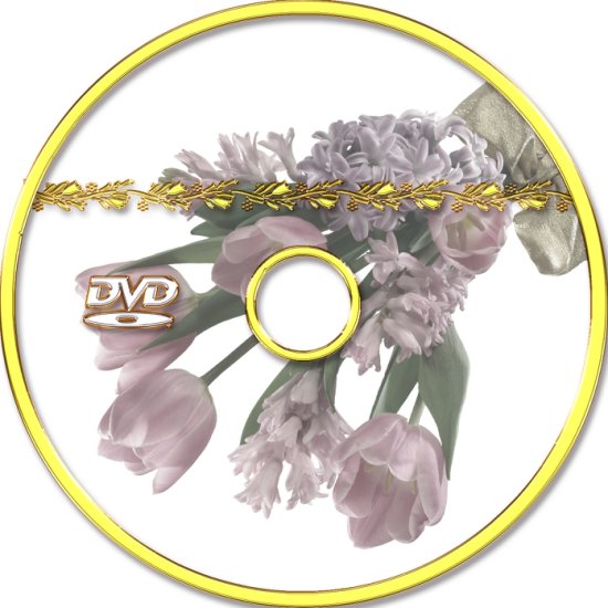Okładki płyt DVD - disc kopia 2.jpg