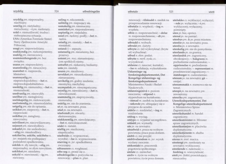 słownik - Słownik Polsko Norweski 260.jpg