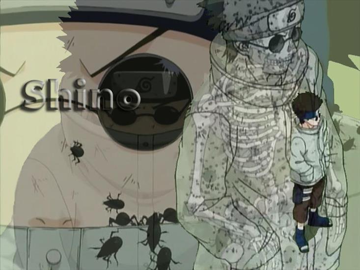 Naruto - tapety-naruto-Shino9.jpg