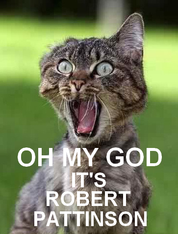 Robert Pattinson - kitty.png