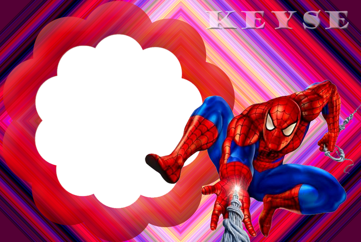 SPIDERMAN - 12.png