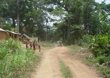 Sierra Leone - Sierra_Leone_Kailahun_road.jpg