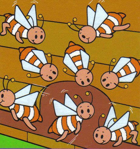 pszczółki - od pszczółki do miodu2.jpg