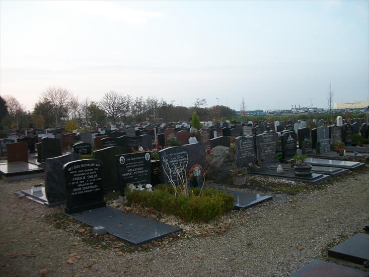 1.11.2011 cmentarz w Harlingenie - 100_2275.JPG