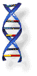 ruchome avatary - dna.gif