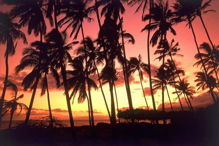Tapety- natura the best - Hawaiian Sunset, Hawaii_40462.jpg