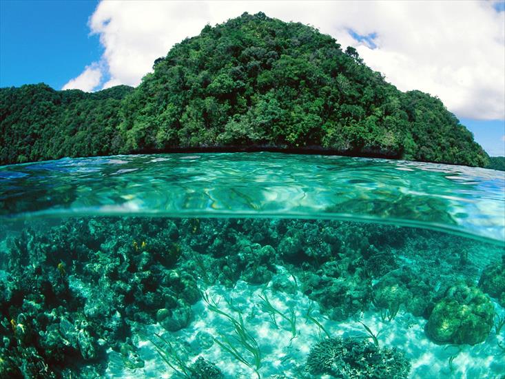 wyspy - Limestone Island, Palau.jpg