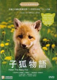 Azjatyckie filmy o zwierzętach - Kogitsune Helen.jpg