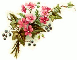 Wielkanocne - png - pink_blooms_w_ivy.png
