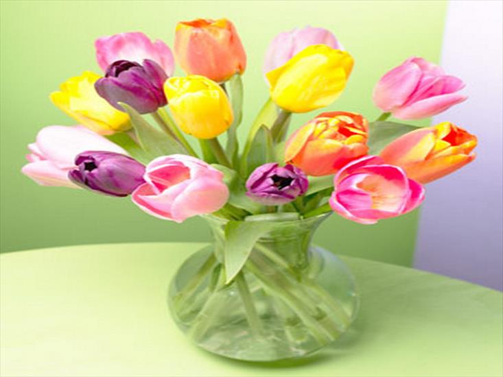 Bukiety z bzu i tulipanów - flor54.jpg