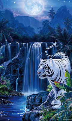 tapety - White_Tiger.jpg