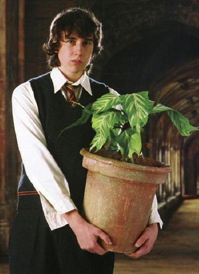 Harry Potter - Normal_promo_neville_plant.jpg