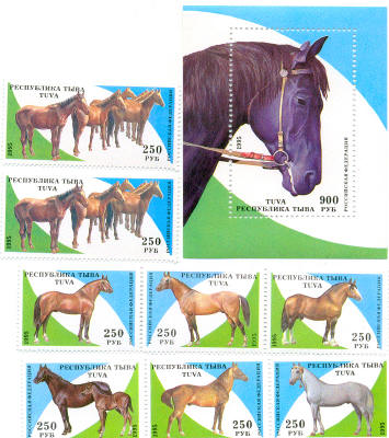 Konie - konie2.jpg