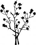 zachomikowane1 - szablon-drzewko-magnolia_344_m.jpg