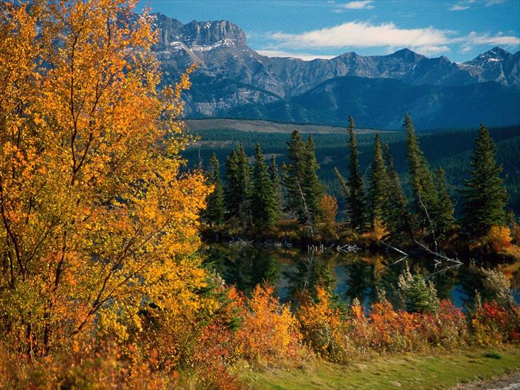 Natura - Jasper National Park, Alberta, Canada.jpg