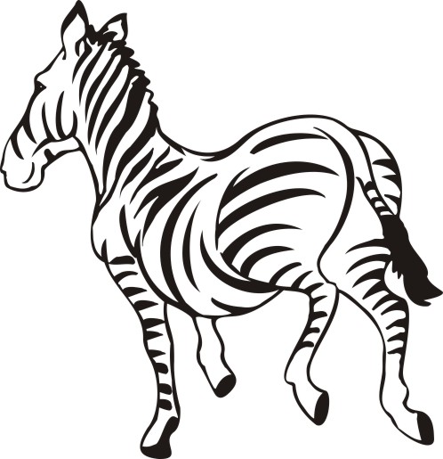 zwierzęta - zebra.jpg