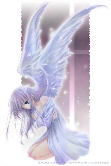 Manga - anime-angel-white-pure.jpg