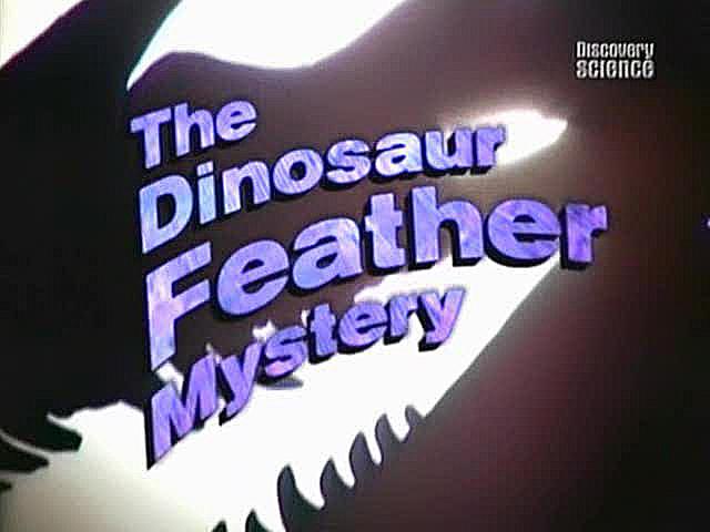 Tajemnica pióra dinozaura - Tajemnica pióra dinozaura 2004L-The Dinosaur Feather Mystery.jpg