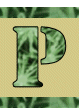 Alfabet Zielony - p.gif