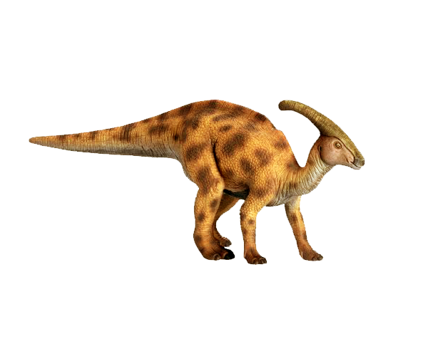 Dinozaury-PNG - parasauroloptius.png