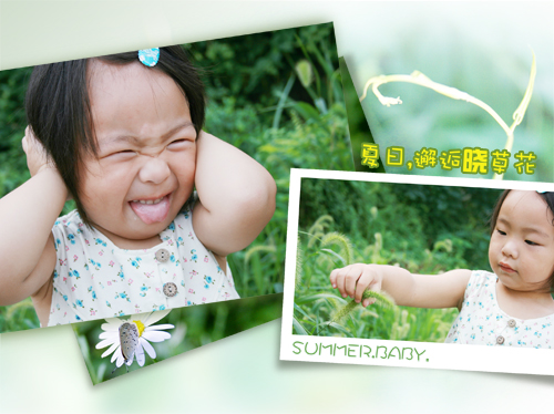 Children Photo Templates-Summer, met flower - 03.jpg