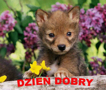 Na powitanie dnia - dzień dobry.bmp