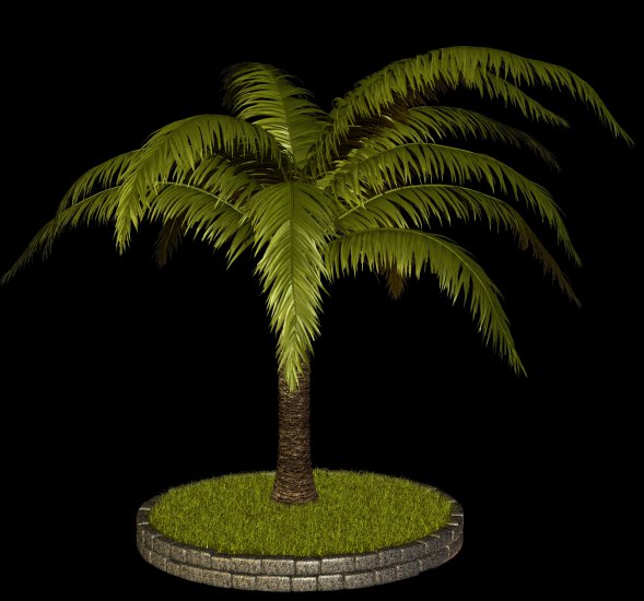 PNG-PALMY 1 - R11 - Palms - 2013 - 009.png