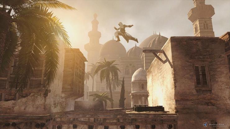 assassins creed - asasin fly.jpg