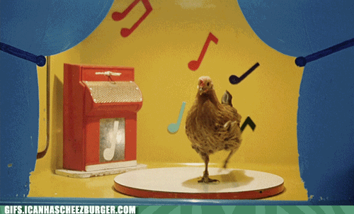 zwierzaki - chicken dance.gif