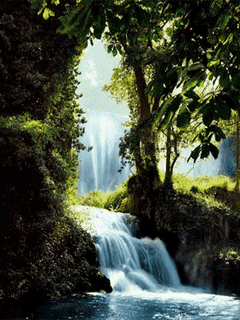 odbicia wodne krajobrazy  wodospady kwiaty  i inne - natura.gif