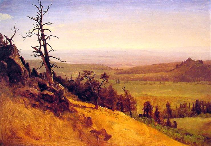 Albert Bierstads 1830  1902 - Newbraska_Wasatch_Mountains.jpg