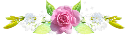 ___Linie Kwiatowe___ - flowers-white-pink888.jpg