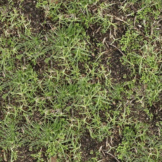 10-tileable-grass-patterns-bonuses-93428 - Grass-04-Color.jpg