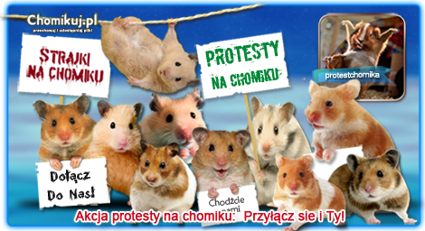  Grafika na chomika - protest chom_rozm czer kr.png