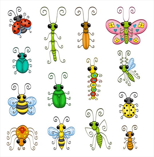 Insekty - 2 content.jpg