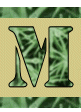 Alfabet Zielony - m.gif