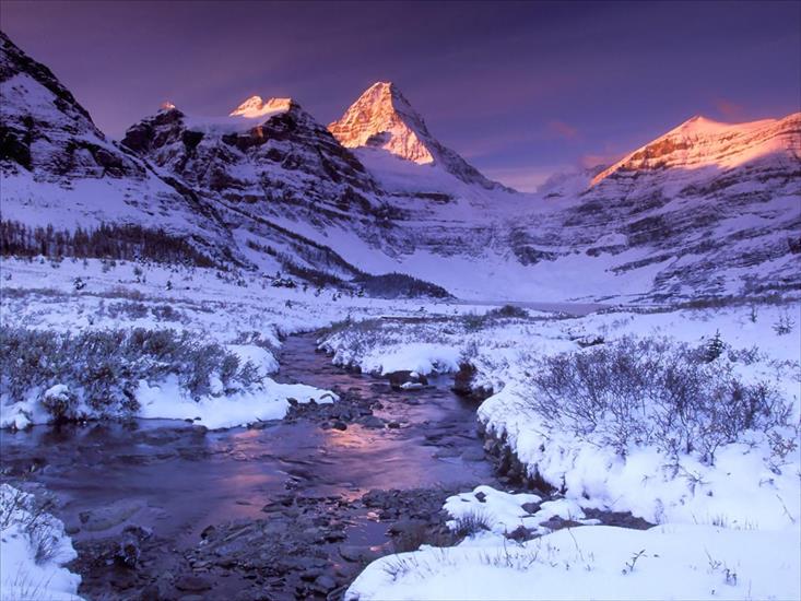 zima - Pure Snow and Alpine Glow, Mount.jpg