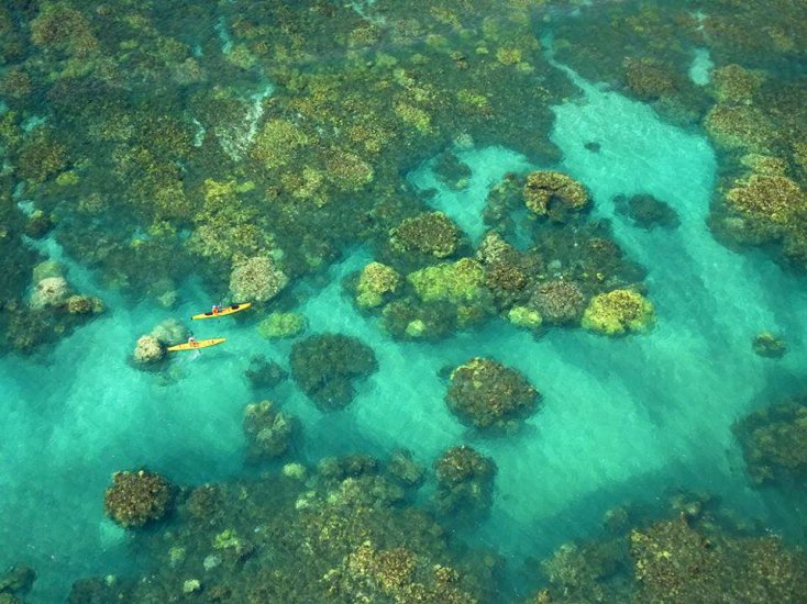 CIEKAWE ZDJĘCIA - Kayakers, Maui.jpg