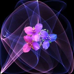 z kwiatami - laser28.jpg