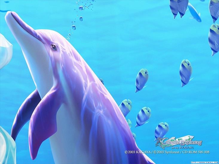 Obrazki i Gify z delfinkami itp - kagaya_056.jpg