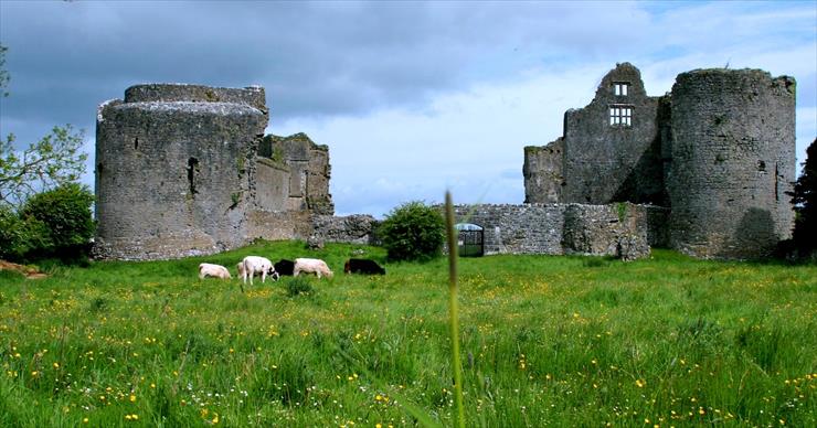 Irlandia - Roscommon Castle.jpg