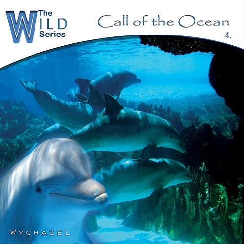 2013 - Call Of The Ocean - Folder.jpg